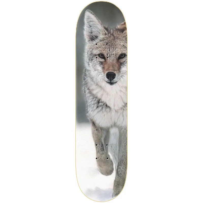 Custom Skateboard Deck For Unique Skate Designs-Zero Hess Coyote LTD Skateboard Deck - 8.25"